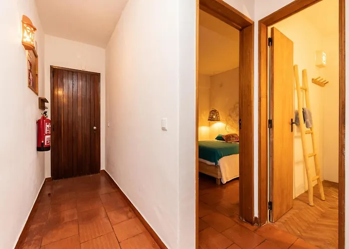 Akisol Euphoria 알부페이라